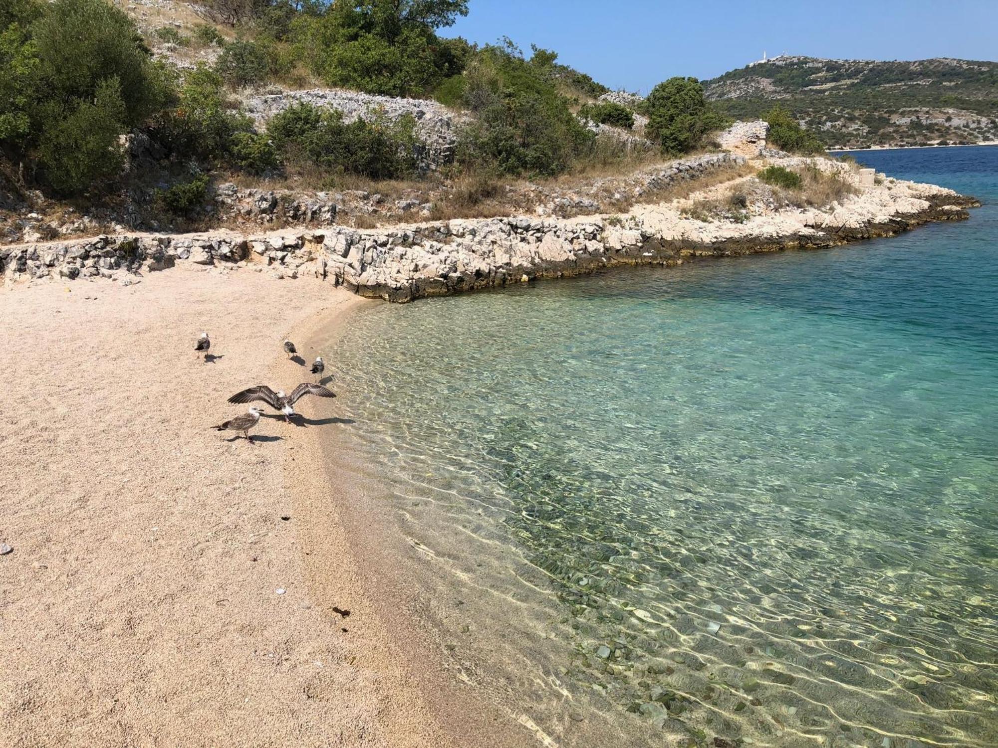 Days@Sea Daire Primošten Dış mekan fotoğraf